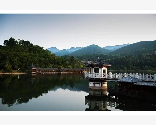 拔火罐祛湿气：探索中医的神奇之道