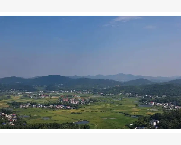 金花清感颗粒：传统中医解决肺火问题的良方